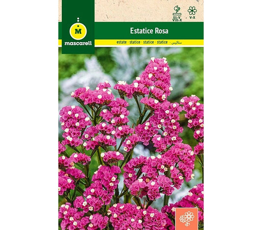 Semillas Estatice Sinuata Rosa_0