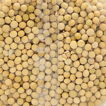 Soja Blanca En Grano Ecológica 500gr_2