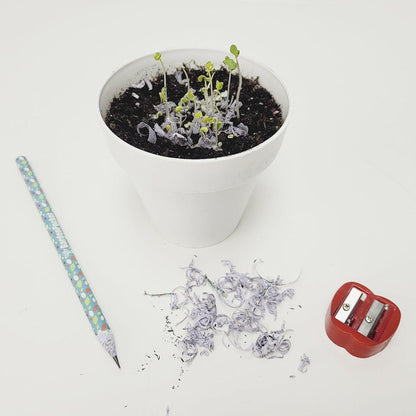 Lápiz con Semillas Plantables Ecológico, Sostenible y Divertido Garden Pocket