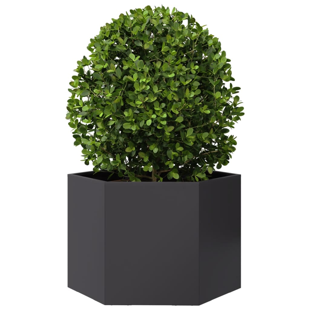 Jardinera Hexagonal Acero Negra 69x60x45 Cm_2