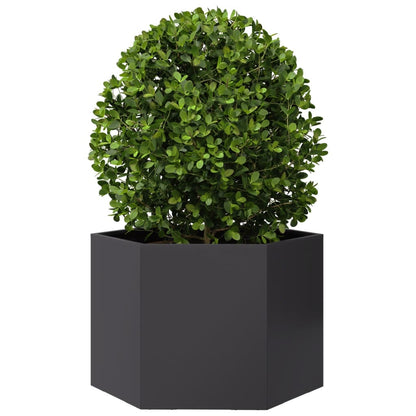 Jardinera Hexagonal Acero Negra 69x60x45 Cm_2