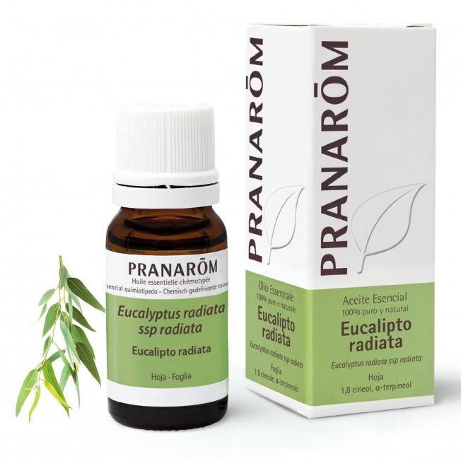 Aceite esencial Eucalipto radiata Pranarôm 10 ml