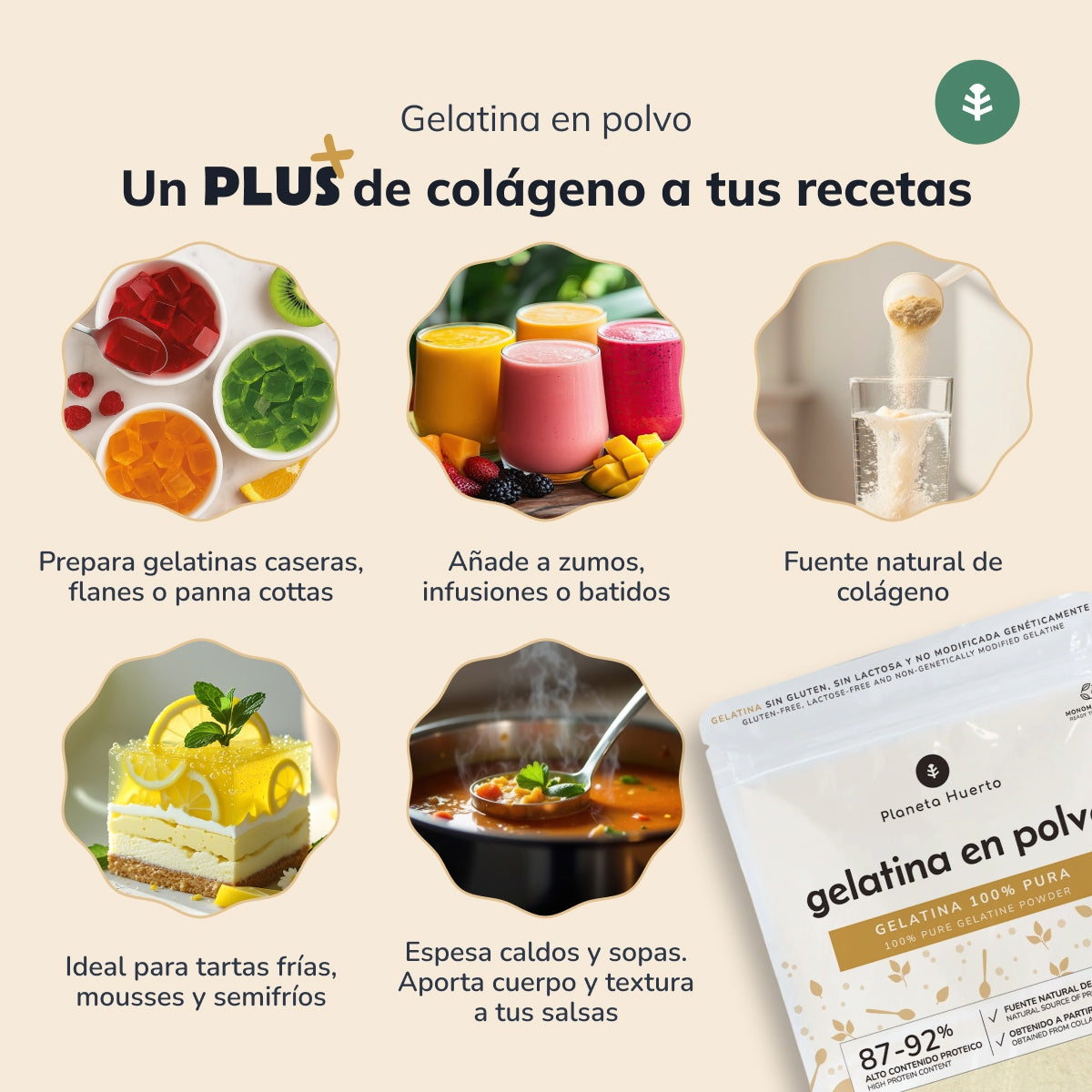 Pack 2x Gelatina neutra en polvo fuente de colágeno Planeta Huerto 1 Kg