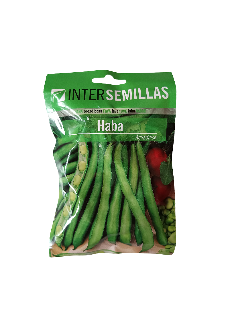Semillas De Haba Variedad Aguadulce 100 Gr._0