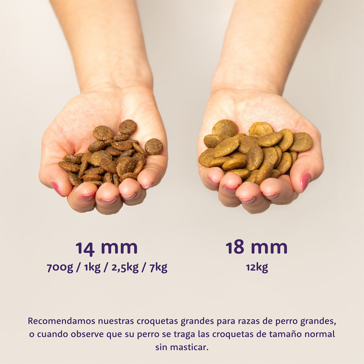 Pienso para perros Cordero Edgard & Cooper 1 Kg