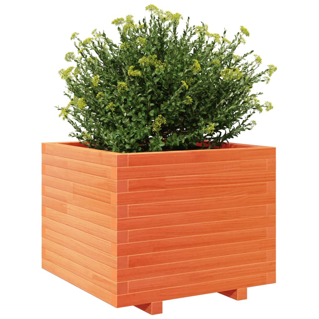 Jardinera Madera Maciza De Pino Marrón Cera 60x60x49,5 Cm_3