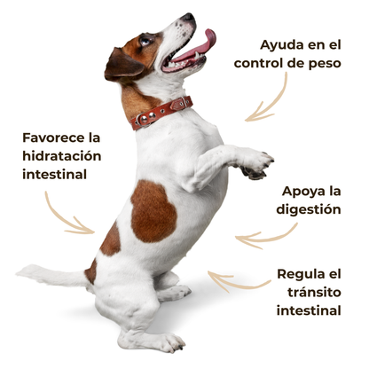 Psyllium ECO para perros y gatos – Tránsito intestinal – 300 g_4