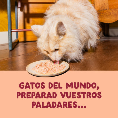 Filetes de pollo para gatos Edgard &amp; Cooper 70 g
