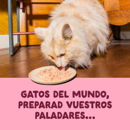 Filetes de pollo con gambas para gatos Edgard &amp; Cooper 70 g