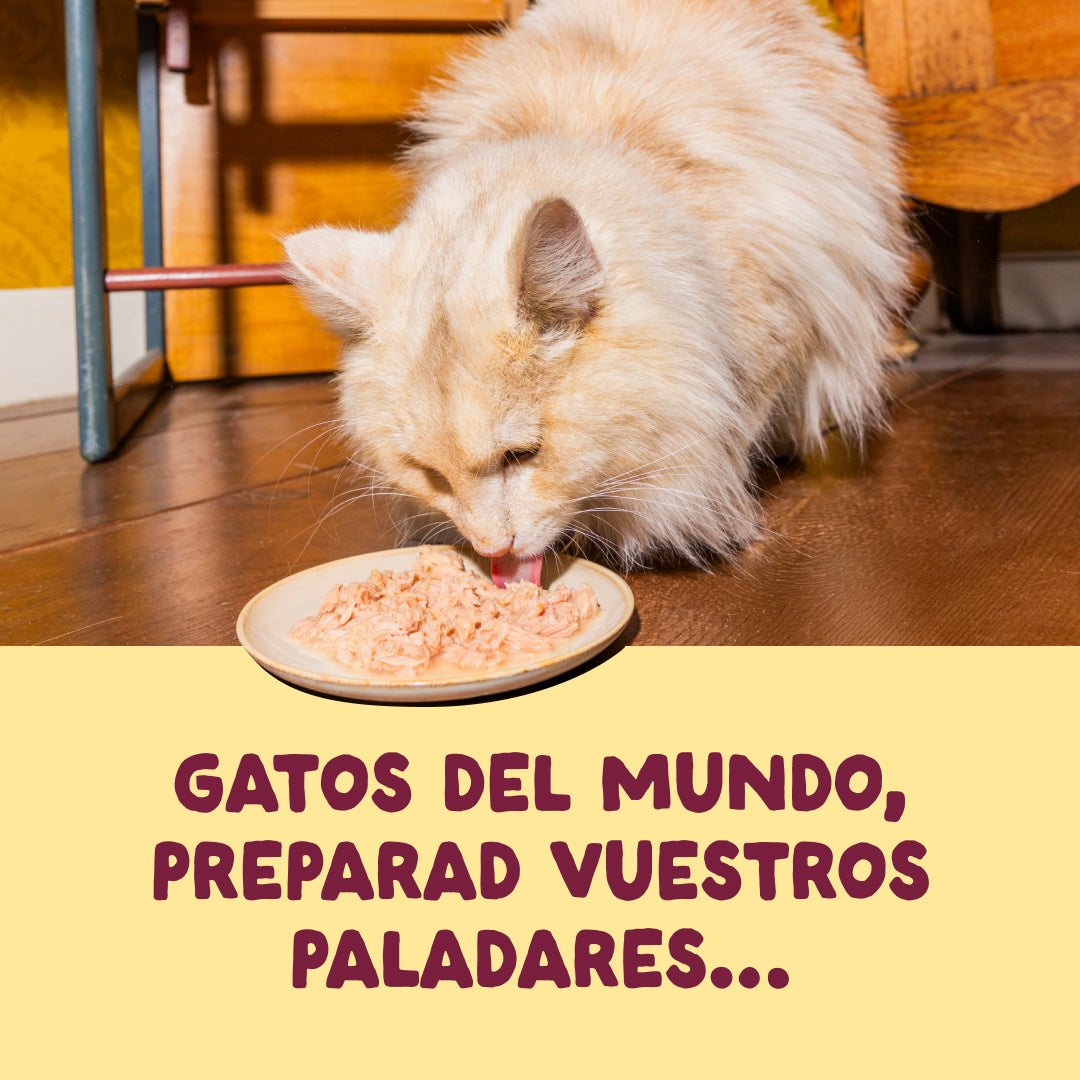 Filetes de pollo con pavo para gatos Edgard & Cooper 70 g