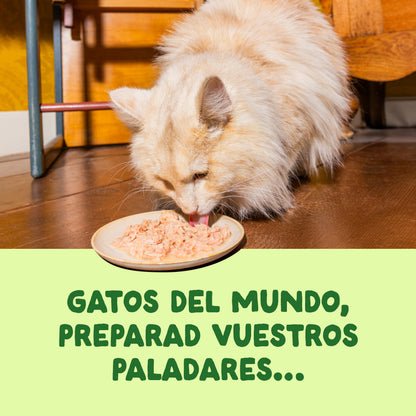 Filetes de caballa para gatos Edgard &amp; Cooper 70 g