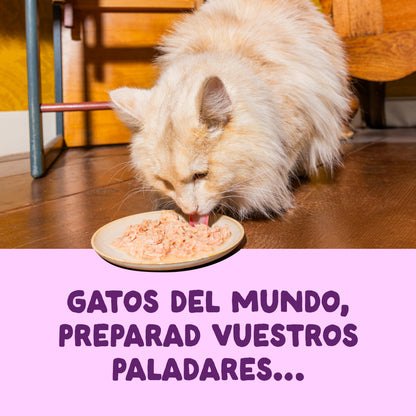 Filetes de salmón y pollo para gatos Edgard &amp; Cooper 70 g