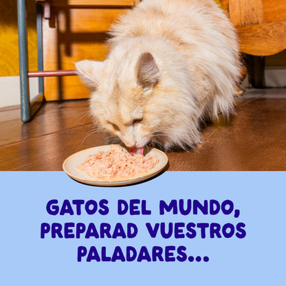 Filetes de atún con pollo para gatos Edgard &amp; Cooper 70 g