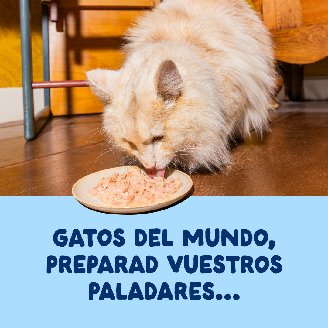 Filetes de atún para gatos Edgard & Cooper 70 g