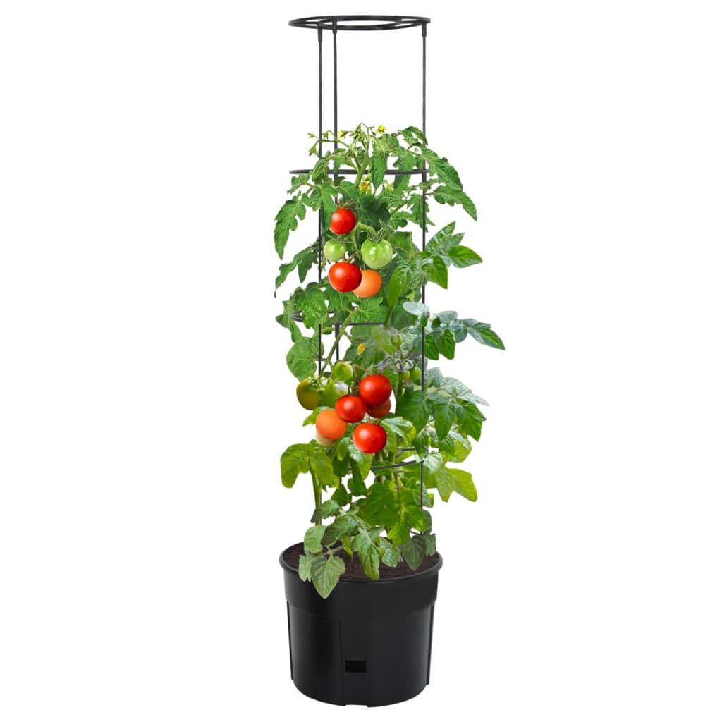 Macetero Para Tomates Polipropileno Gris Antracita Ø39x150 Cm_0