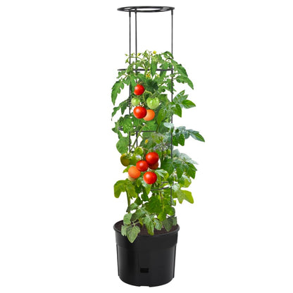 Macetero Para Tomates Polipropileno Gris Antracita Ø39x150 Cm_0