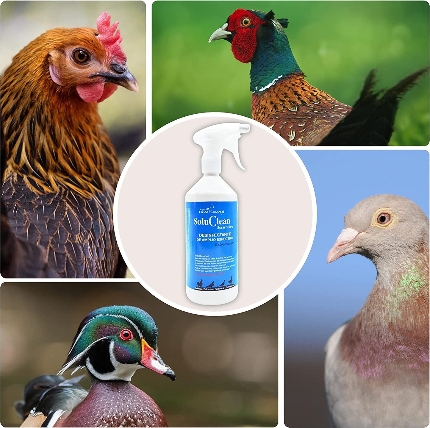 Soluclean Limpieza De Gallineros, Perreras, Comederos Y Material Disolver En Agua Y Limpiar Las Instalaciones (5 L)_3