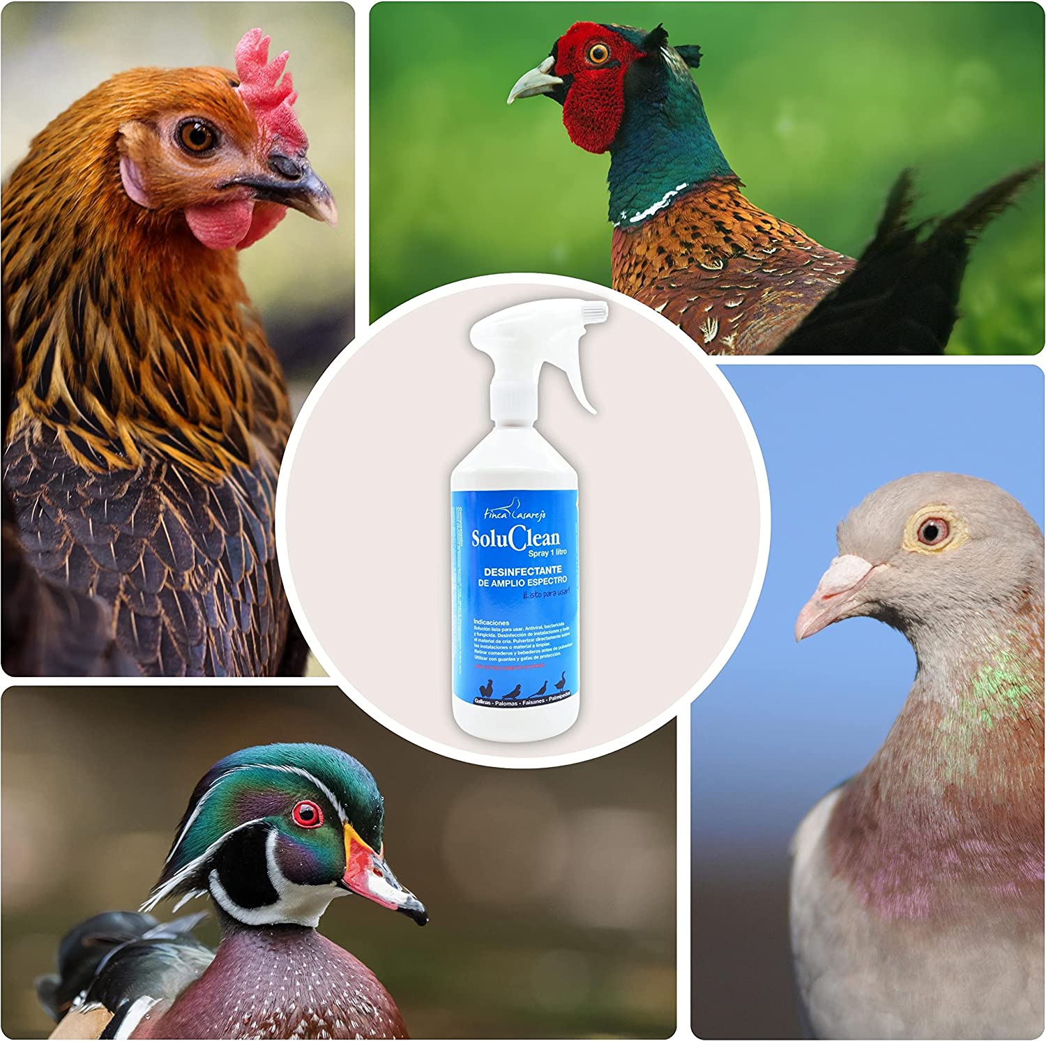 Soluclean Limpieza De Gallineros, Perreras, Comederos Y Material Disolver En Agua Y Limpiar Las Instalaciones (5 L)_3