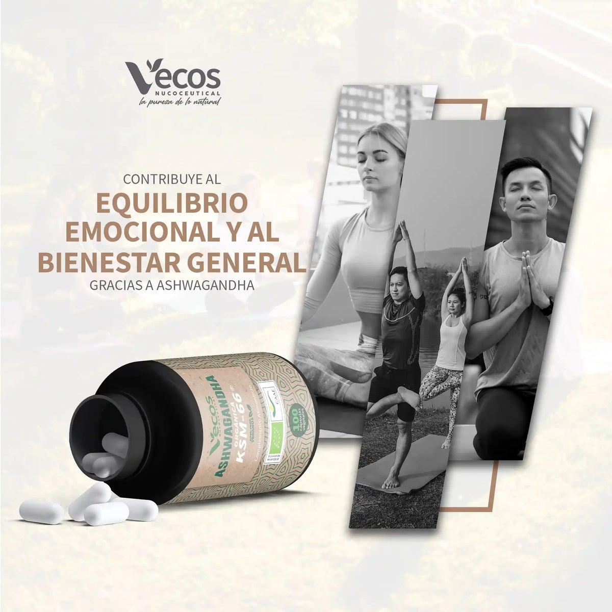 Ashwagandha KSM 66 eco Vecos 100 capsulas