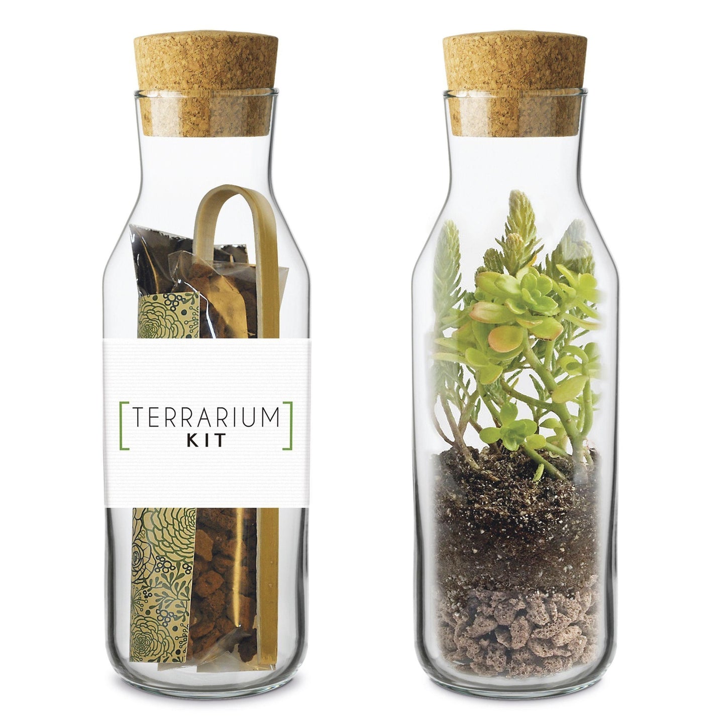 Kit Monta tu Terrario Vertical, Ideal Regalo Garden Pocket