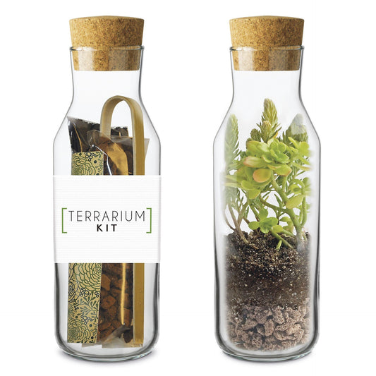 Kit Monta tu Terrario Vertical, Ideal Regalo Garden Pocket