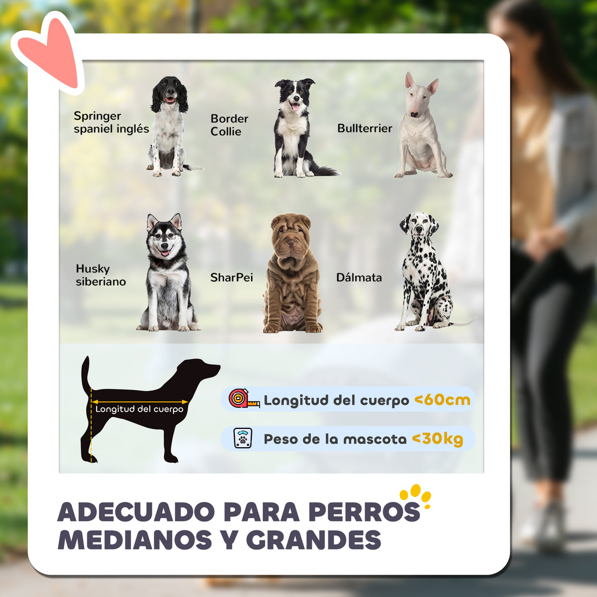 Pawhut Cochecito Para Perros Plegable Con Ventana De Malla 112x67x100 Cm Rojo_3