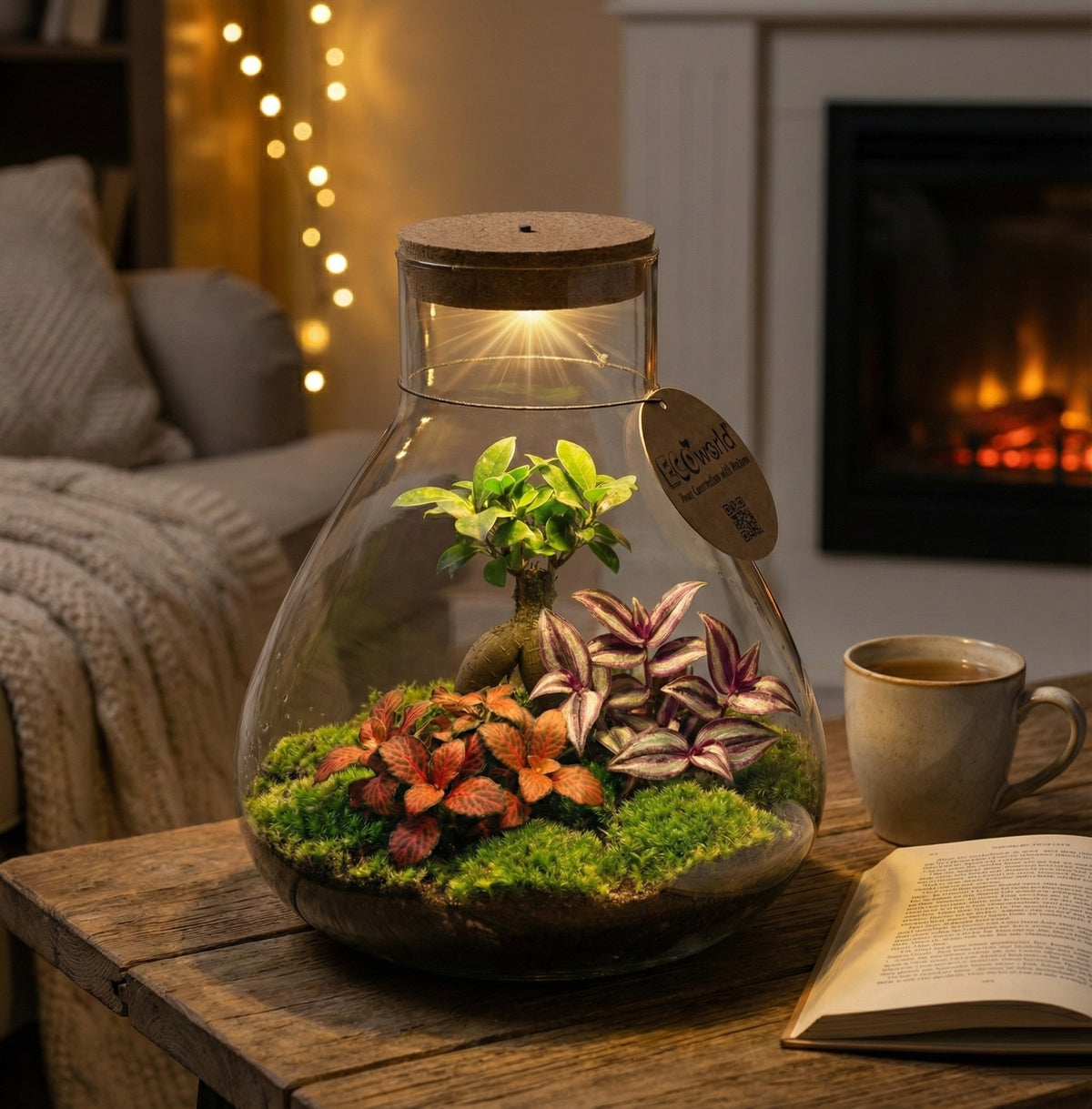 Mini Terrario Diy - Con Luz Led - Ecosistema Autosuficiente_1