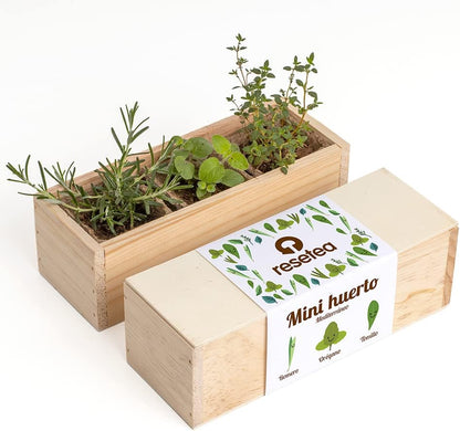 Mini Huerto Mediterráneo Romero, Orégano y Tomillo | Huerto Urbano en Casa - Resetea_0