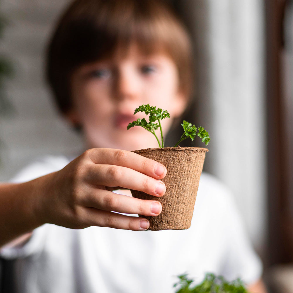 Mi Primer Cultivo de Albahaca – Kit Educativo STEM para Cultivar Albahaca en Casa - Resetea_2
