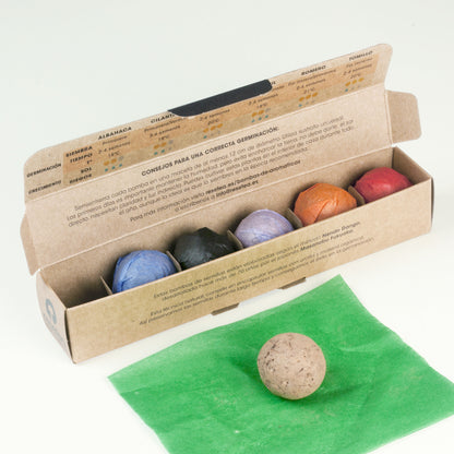 Pack 6 Bombas de Semillas de Hierbas Aromáticas – Huerto Casero de Cocina, Regalo Original - Resetea_4