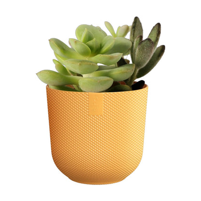 Maceta Amarillo Mostaza Jazz Round Mini Elho 7cm 100% reciclado