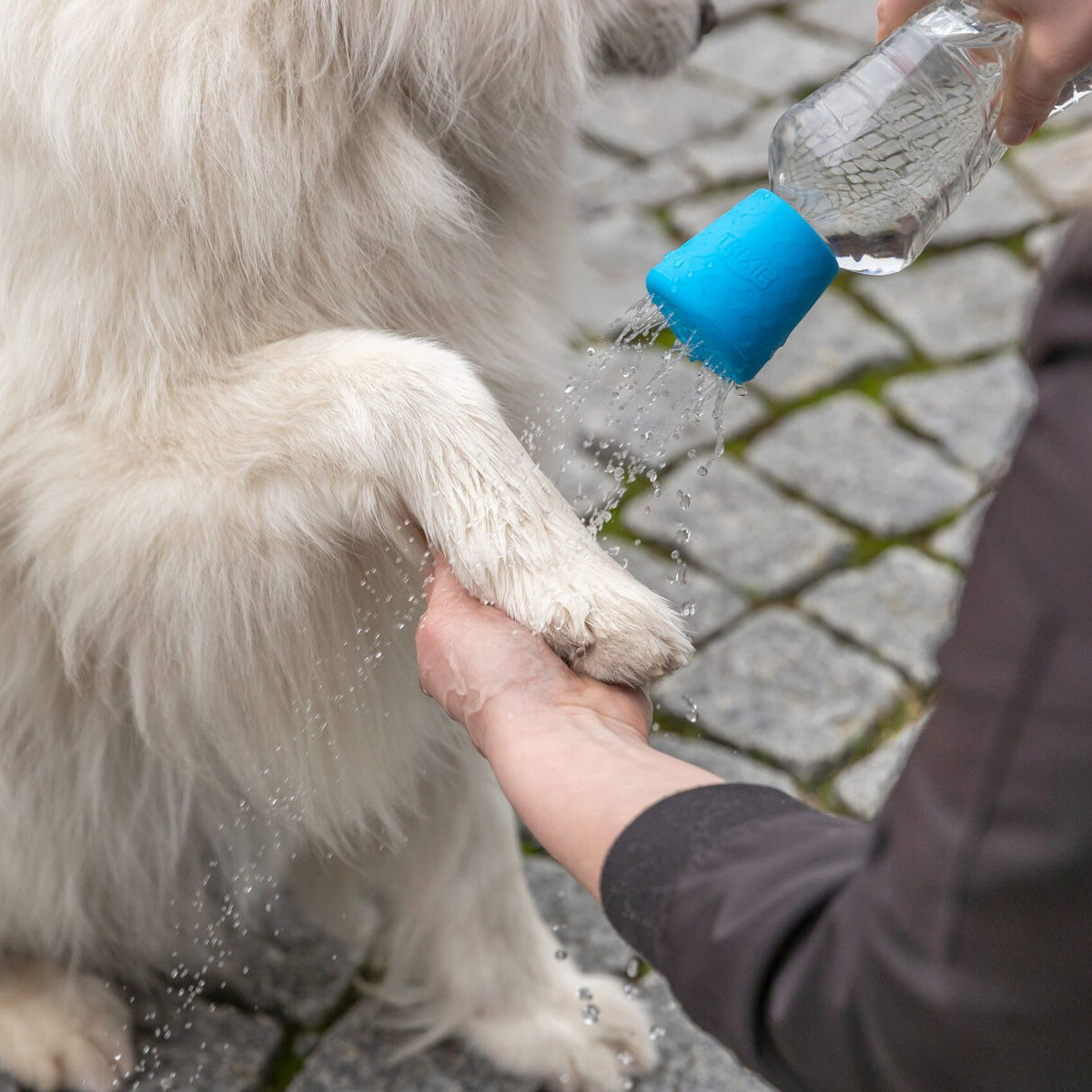 Ducha móvil para perros Trixie ø 5 × 5,5 cm azul