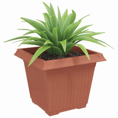 Maceta Cuadrada Para Flores 6 Pcs Rojo Ladrillo Plástico_2