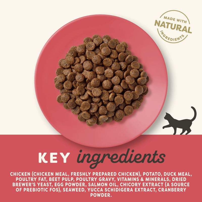Pienso Adulto de Pollo y Pato para Gatos Applaws 400 g - ingredientes
