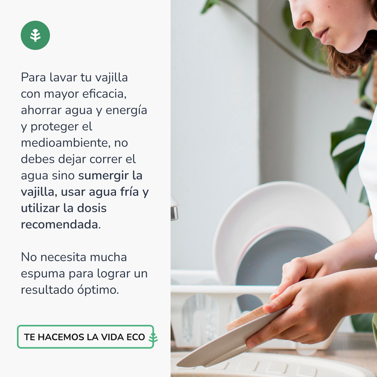 Pack 3xLavavajillas manual hipoalergénico sin perfume ECO Planeta Huerto 750 ml