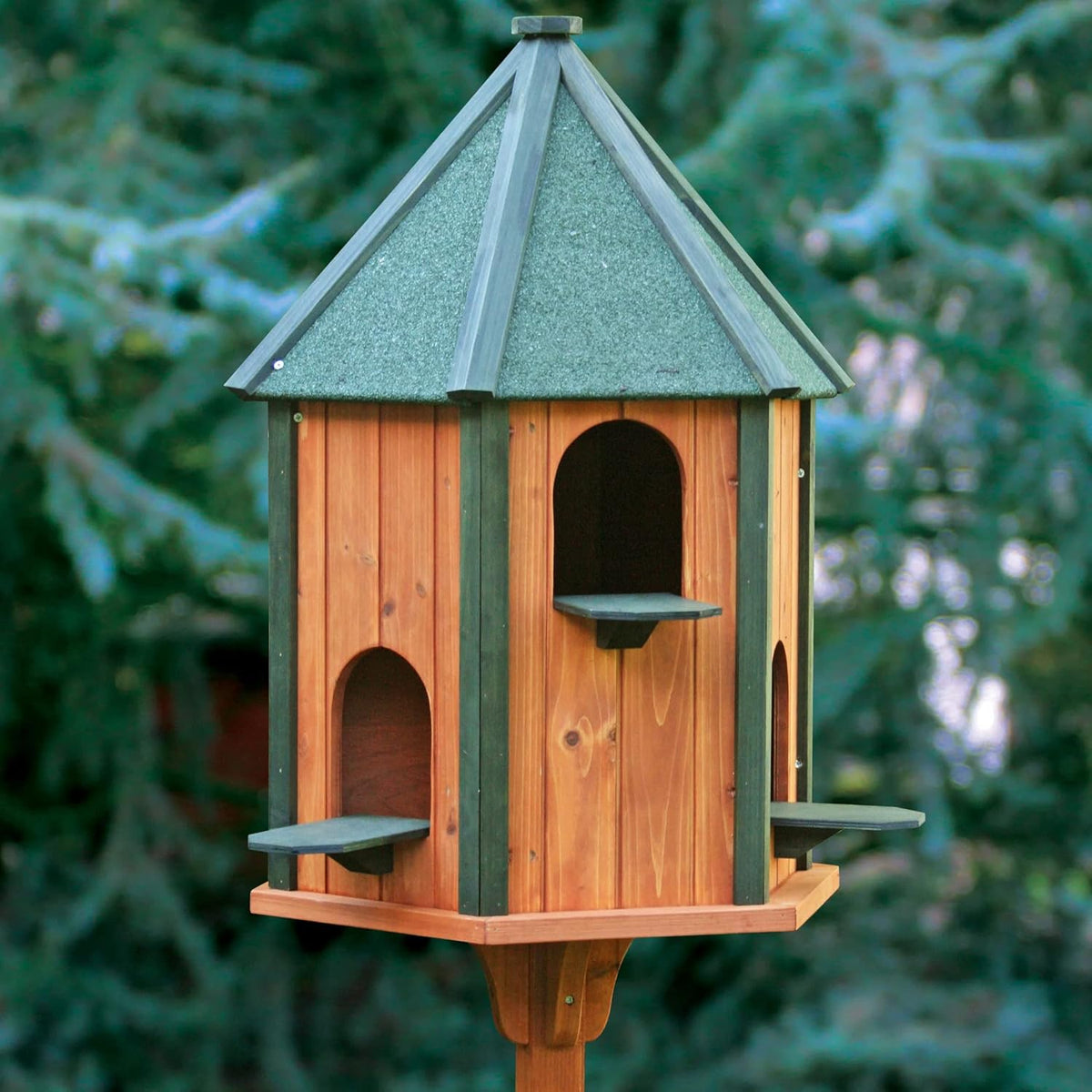 Palomar Ramier - Caseta Exterior Para Palomas Y Otros Pájaros_1