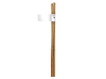 Tutor De Bambu 10-12 Mm 1,5 M Nortene_0