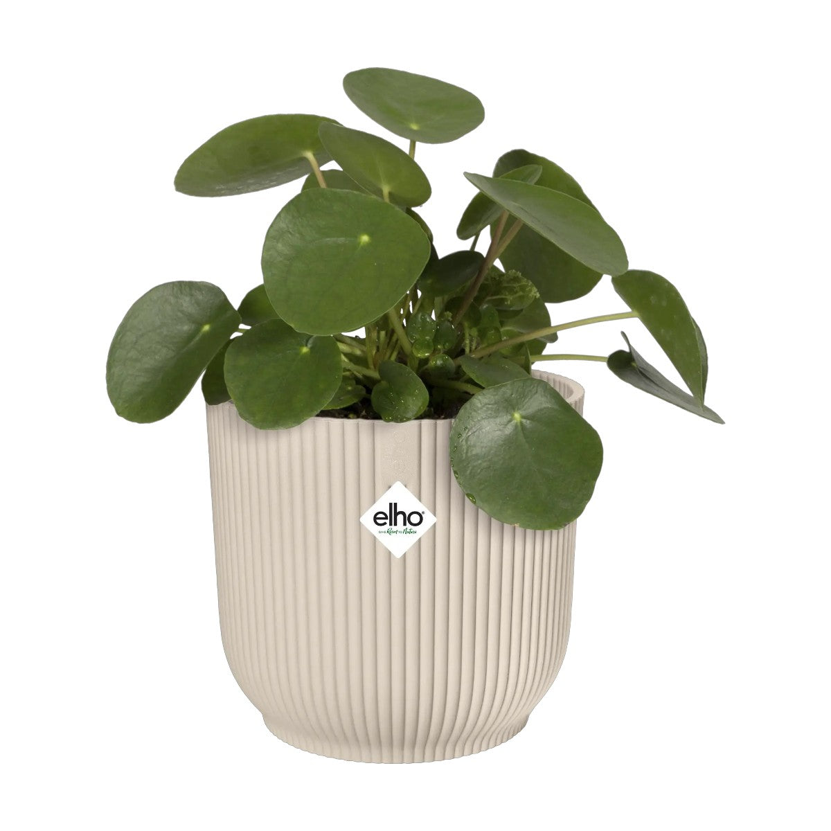 Maceta Blanco Lino Vibes Fold Round Elho 14cm 100% reciclado
