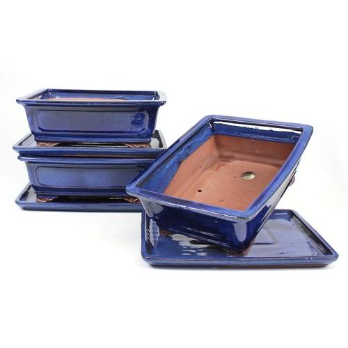 Tiesto bonsáis rectangular 25 cm con plato azul