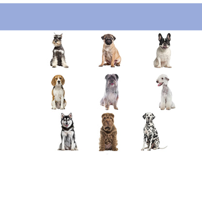 Pawhut Cama Elevada Para Perros Interior Y Exterior 91,5x76,2x18 Cm Azul_3