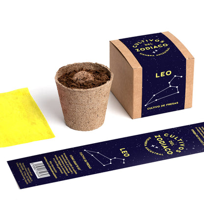 Cultivos del Zodiaco – Leo, Kit de Cultivo con Semillas de Fresa - Resetea_3