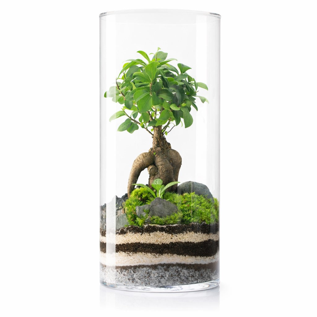 Terrario Amazonia Tower 25x52 Cm_0