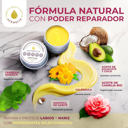 Labial Reparador para labios y nariz en lata con Aceite de Camelia_2