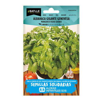 Semillas de Albahaca Gigante Genovesa BatlleBio Aldeas Infantiles