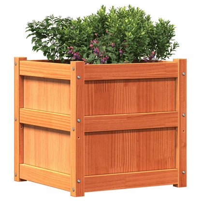 Jardinera Exterior Madera Maciza Pino Marrón Cera 50x50x50 Cm_3