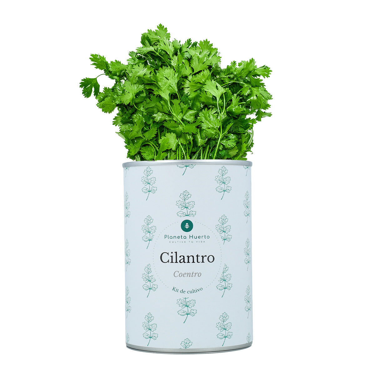 Kit de cultivo aromáticas Cilantro Planeta Huerto