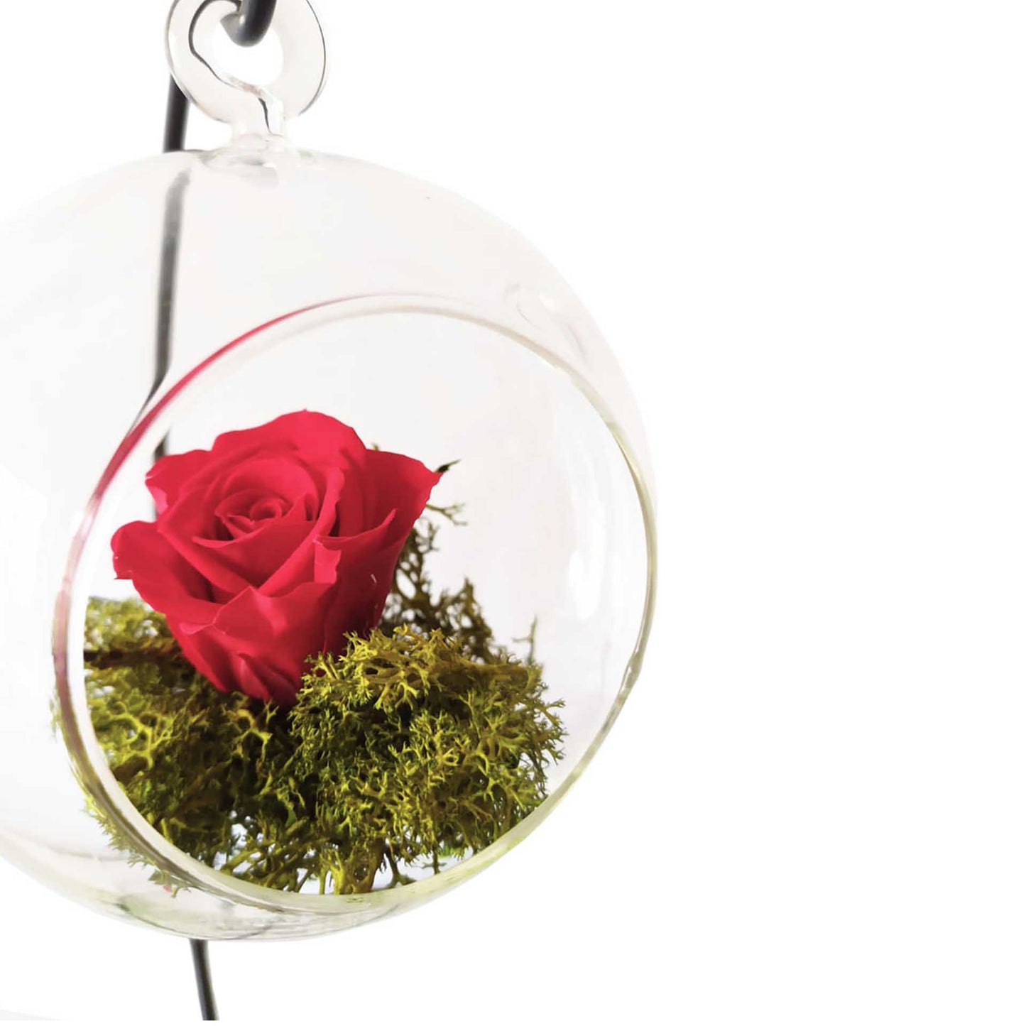 Rosa Eterna – Colgante Roja_2