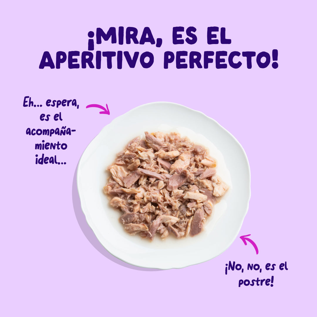 Filetes de salmón y atún para gatos Edgard & Cooper 70 g