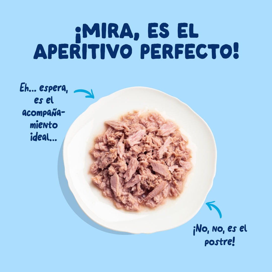 Filetes de atún para gatos Edgard & Cooper 70 g