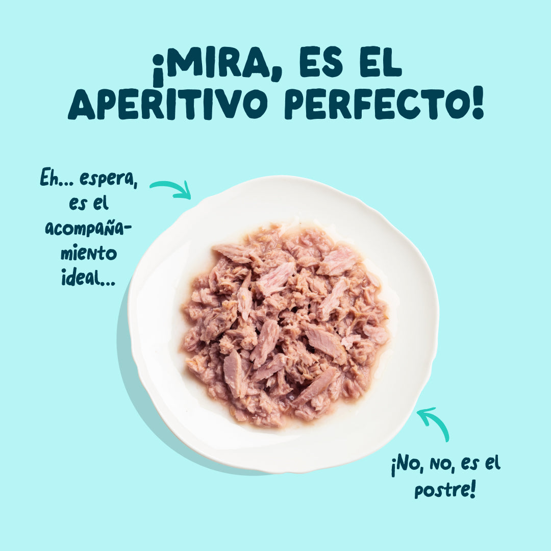 Filetes de atún con gambas para gatos Edgard & Cooper 70 g